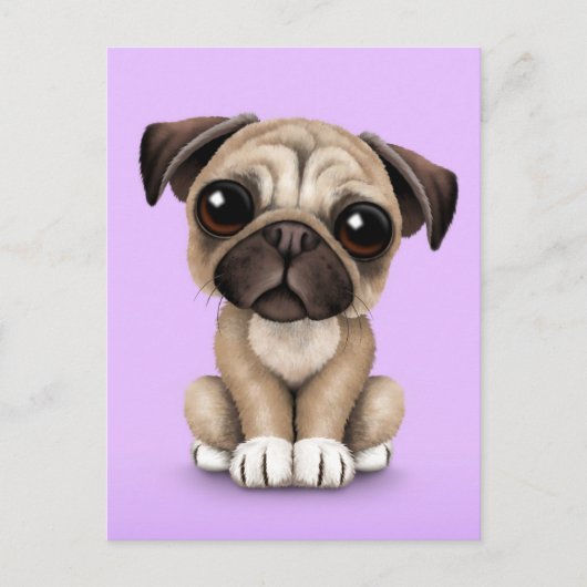 Cute Baby Pug Puppy Dog op Paars Briefkaart (Voorkant)