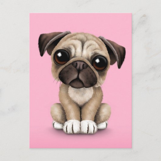 Cute Baby Pug Puppy Dog op Roze Briefkaart (Voorkant)