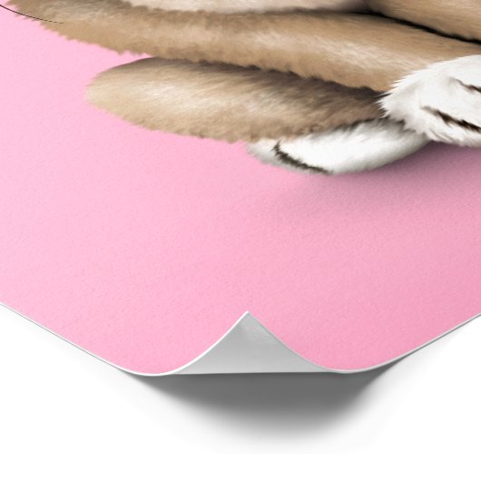 Cute Baby Pug Puppy Dog op Roze Poster (Hoek)