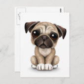 Cute Baby Pug Puppy Dog op White Briefkaart (Voorkant / Achterkant)