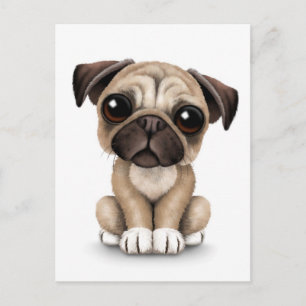 Cute Baby Pug Puppy Dog op White Briefkaart