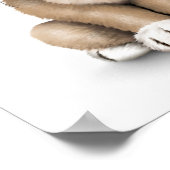 Cute Baby Pug Puppy Dog op White Poster (Hoek)