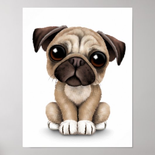 Cute Baby Pug Puppy Dog op White Poster (Voorkant)