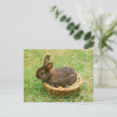 Cute baby rabbit briefkaart (Staand voorkant)