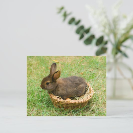 Cute baby rabbit briefkaart (Staand voorkant)