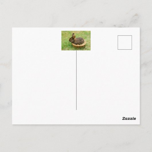 Cute baby rabbit briefkaart (Achterkant)