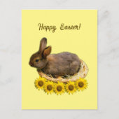 Cute baby rabbit - easter bunny briefkaart (Voorkant)