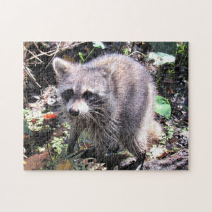Cute Baby Raccoon Foraging Jigzaag Puzzle Legpuzzel