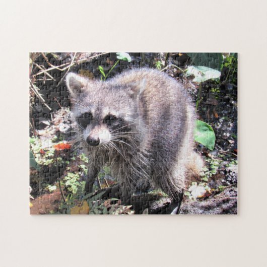 Cute Baby Raccoon Foraging Jigzaag Puzzle Legpuzzel (Horizontaal)