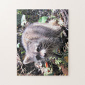 Cute Baby Raccoon Foraging Jigzaag Puzzle Legpuzzel (Verticaal)