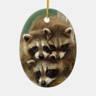 Cute Baby Raccoon Keramisch Ornament