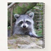Cute Baby Raccoon Pic Notitieboek (Achterkant)