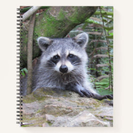 Cute Baby Raccoon Pic Notitieboek