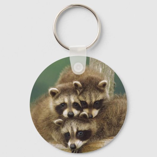 Cute Baby Raccoon Sleutelhanger (Voorkant)