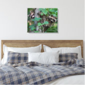 Cute Baby Raccoons Canvas Afdruk (Insitu (Slaapkamer))