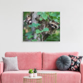 Cute Baby Raccoons Canvas Afdruk (Insitu (Woonkamer))