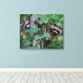 Cute Baby Raccoons Canvas Afdruk (Insitu (Houten vloer))
