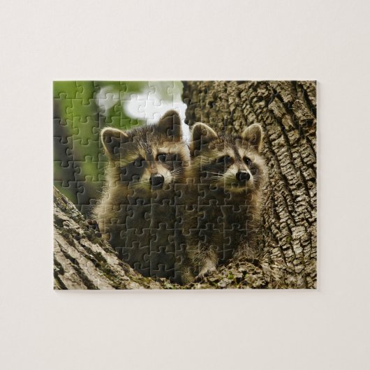 Cute Baby Raccoons Legpuzzel (Horizontaal)