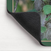 Cute Baby Raccoons Muismat (Hoek)