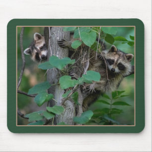 Cute Baby Raccoons Muismat