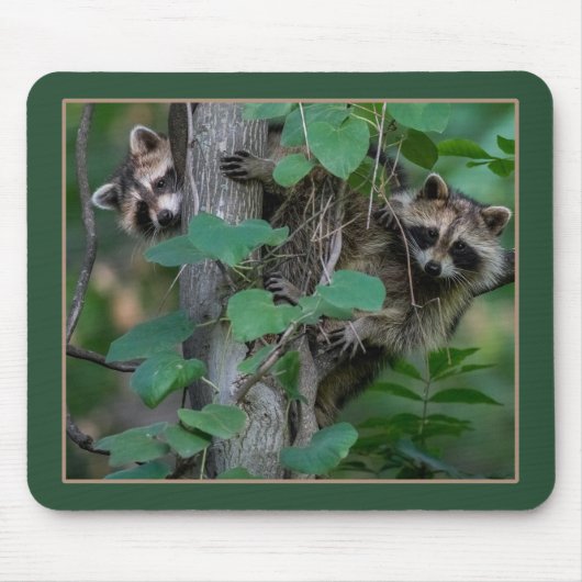 Cute Baby Raccoons Muismat (Voorkant)