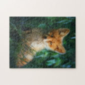 Cute Baby Red Fox in Grass Legpuzzel (Horizontaal)