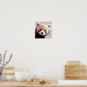Cute Baby Red Panda Portret | Vierkant 1:1 Poster (Keuken)