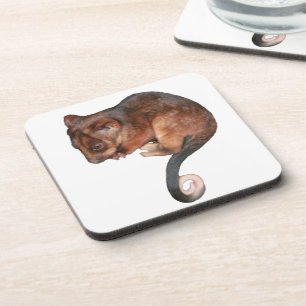 Cute Baby Ringtail Possum Bier Onderzetter