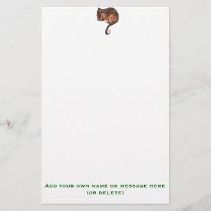 Cute Baby Ringtail Possum Briefpapier