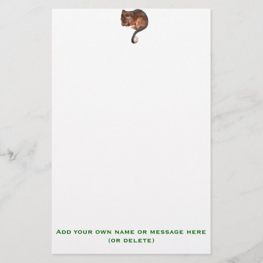 Cute Baby Ringtail Possum Briefpapier (Voorkant)