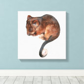 Cute Baby Ringtail Possum Canvas Print (Insitu (Houten vloer))