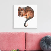 Cute Baby Ringtail Possum Canvas Print (Insitu (Woonkamer))