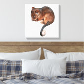 Cute Baby Ringtail Possum Canvas Print (Insitu (Slaapkamer))