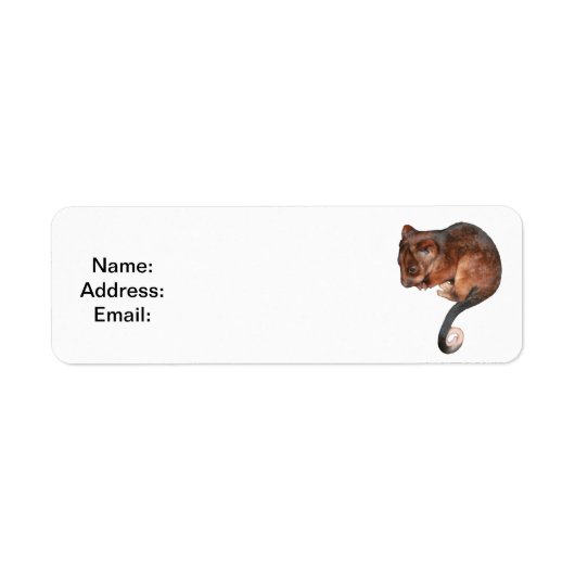 Cute Baby Ringtail Possum Etiket (Voorkant)