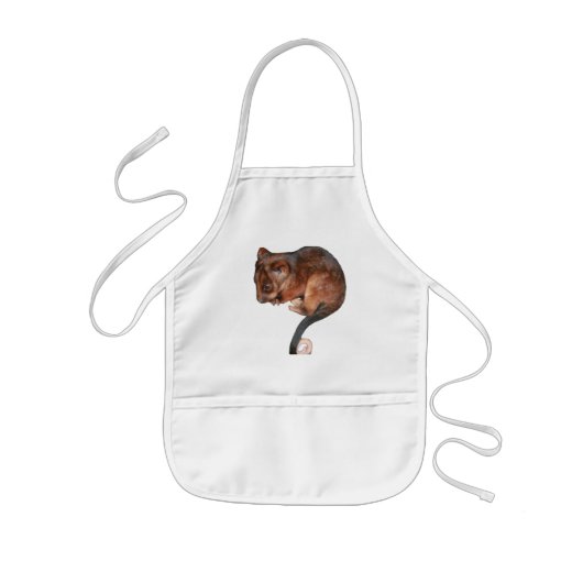 Cute Baby Ringtail Possum Kinder Schort (Voorkant)