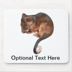 Cute Baby Ringtail Possum Muismat
