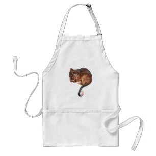 Cute Baby Ringtail Possum Standaard Schort