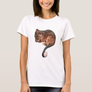 Cute Baby Ringtail Possum T-shirt