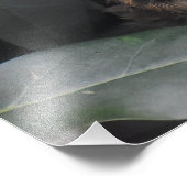 Cute Baby Robin Foto Afdruk (Hoek)