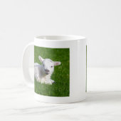 Cute baby schaap in gras koffiemok (Voorkant links)