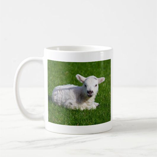 Cute baby schaap in gras koffiemok (Links)