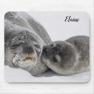 Cute Baby Seal and Ma Personalized Muismat