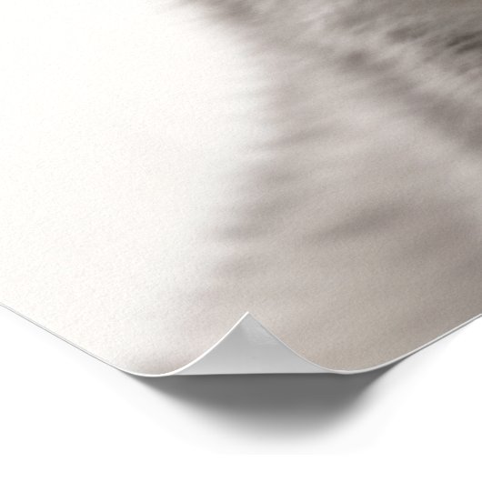 Cute Baby Siberian White Tiger Portret | 1:1 Poster (Hoek)