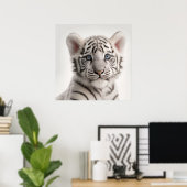 Cute Baby Siberian White Tiger Portret | 1:1 Poster (Thuiskantoor)