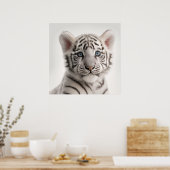 Cute Baby Siberian White Tiger Portret | 1:1 Poster (Keuken)
