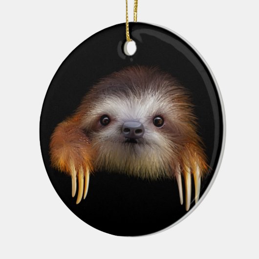 Cute Baby Sloth Hanging Ornament (Links)