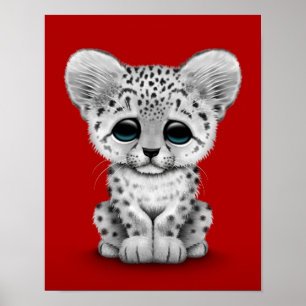 Cute Baby sneeuwluipkuil op rood Poster