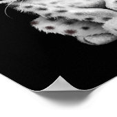 Cute Baby Snow Leopard Cub op Black Poster (Hoek)