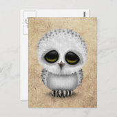 Cute Baby Snowy Owl Chic on Aged Texture Briefkaart (Voorkant / Achterkant)