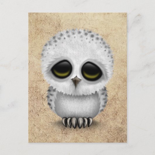 Cute Baby Snowy Owl Chic on Aged Texture Briefkaart (Voorkant)